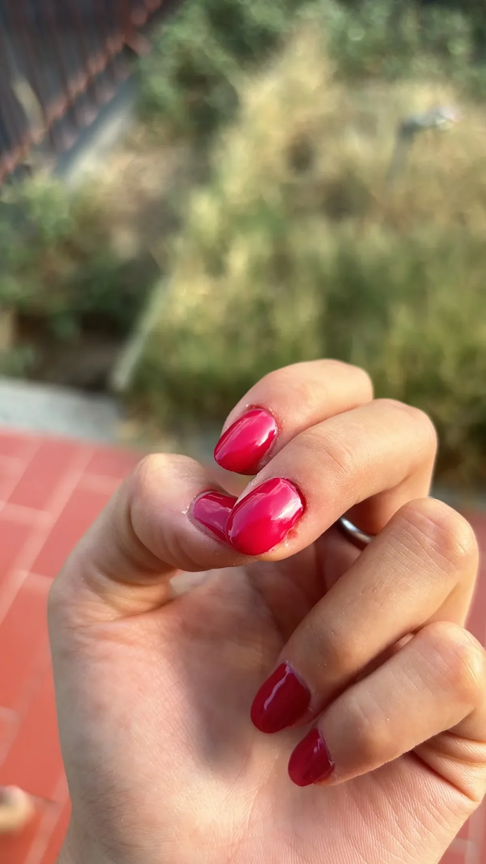 Estetica Coralline (Collegno)