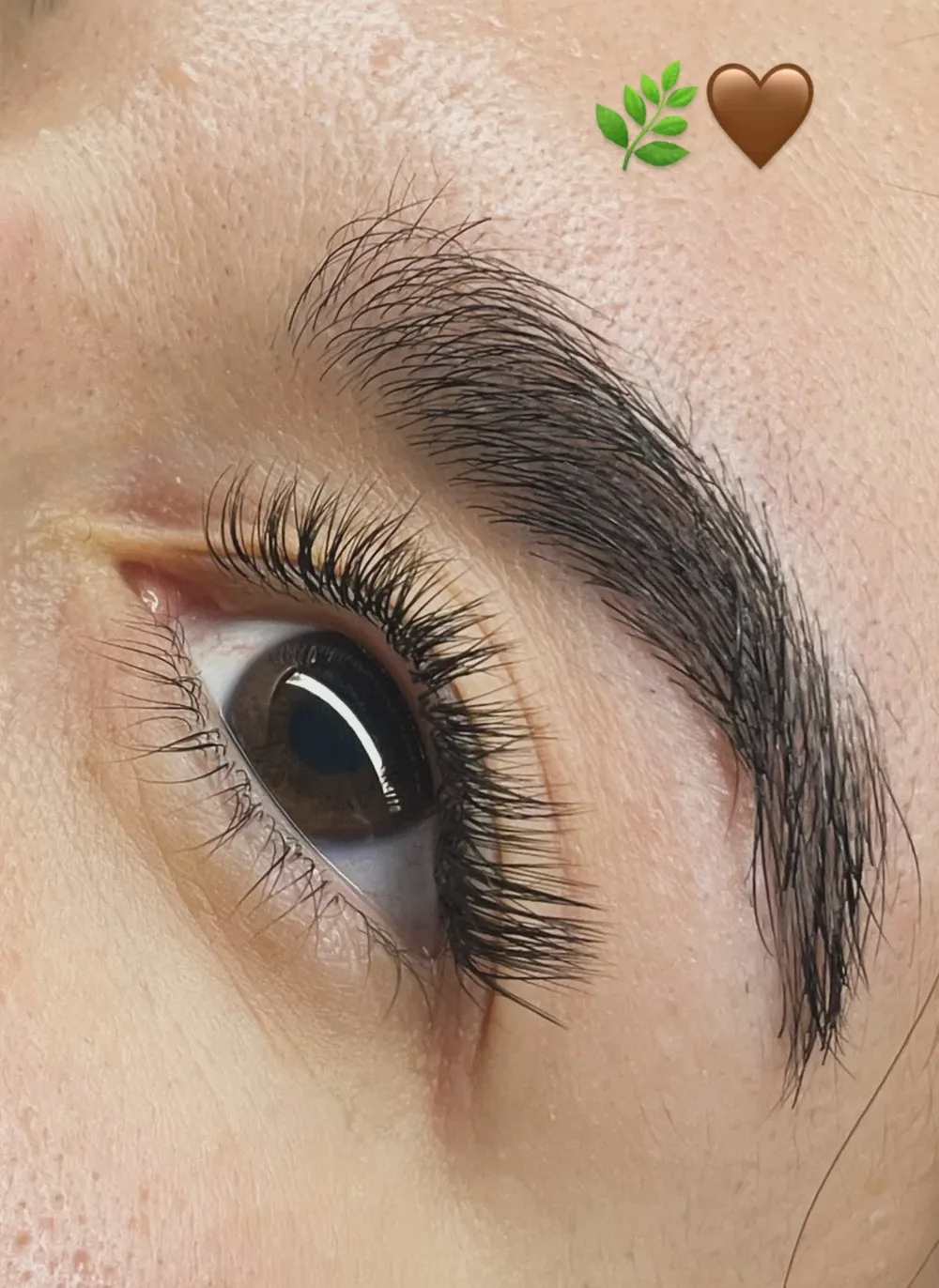 Iris Beauty Studio